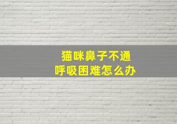 猫咪鼻子不通呼吸困难怎么办