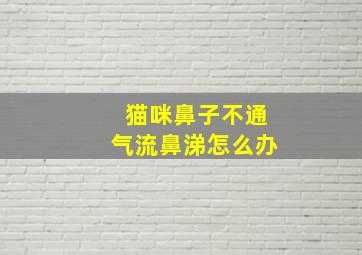 猫咪鼻子不通气流鼻涕怎么办