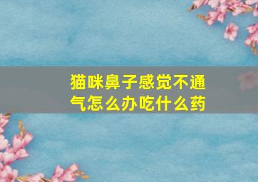 猫咪鼻子感觉不通气怎么办吃什么药