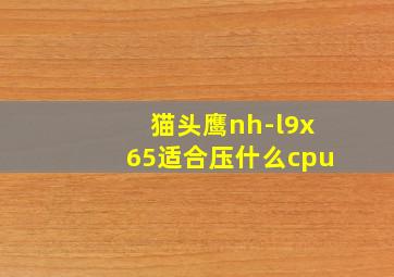 猫头鹰nh-l9x65适合压什么cpu