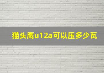 猫头鹰u12a可以压多少瓦