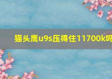 猫头鹰u9s压得住11700k吗