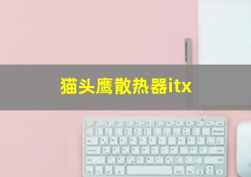 猫头鹰散热器itx