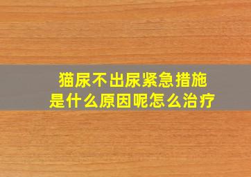 猫尿不出尿紧急措施是什么原因呢怎么治疗