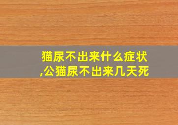 猫尿不出来什么症状,公猫尿不出来几天死