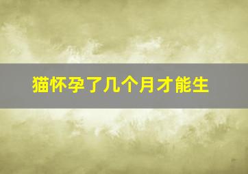 猫怀孕了几个月才能生