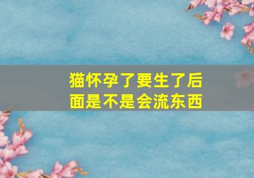 猫怀孕了要生了后面是不是会流东西