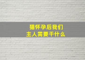 猫怀孕后我们主人需要干什么