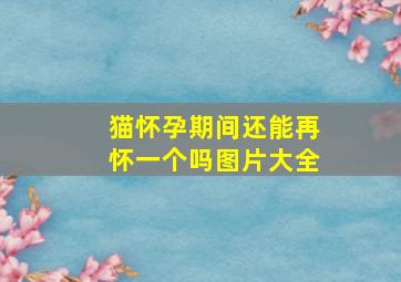 猫怀孕期间还能再怀一个吗图片大全