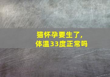 猫怀孕要生了,体温33度正常吗