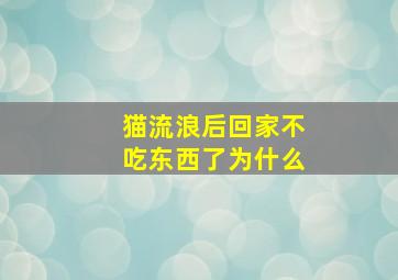 猫流浪后回家不吃东西了为什么