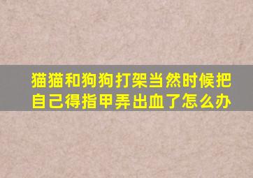 猫猫和狗狗打架当然时候把自己得指甲弄出血了怎么办