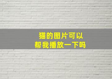 猫的图片可以帮我播放一下吗