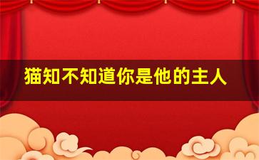 猫知不知道你是他的主人