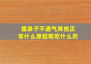 猫鼻子不通气其他正常什么原因呢吃什么药