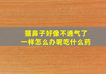 猫鼻子好像不通气了一样怎么办呢吃什么药