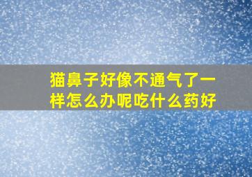 猫鼻子好像不通气了一样怎么办呢吃什么药好