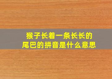 猴子长着一条长长的尾巴的拼音是什么意思