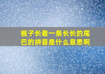 猴子长着一条长长的尾巴的拼音是什么意思啊