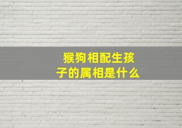 猴狗相配生孩子的属相是什么