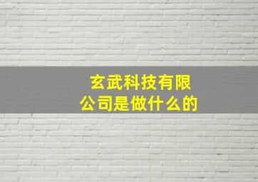 玄武科技有限公司是做什么的