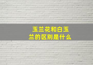 玉兰花和白玉兰的区别是什么