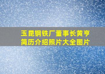 玉昆钢铁厂董事长黄亨简历介绍照片大全图片