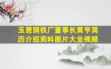 玉昆钢铁厂董事长黄亨简历介绍资料图片大全视频