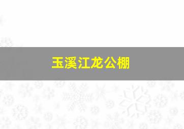 玉溪江龙公棚