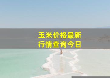 玉米价格最新行情查询今日