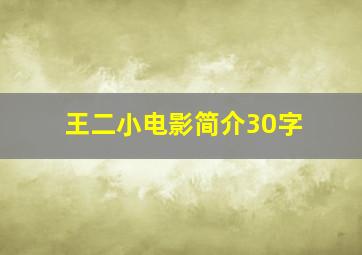 王二小电影简介30字