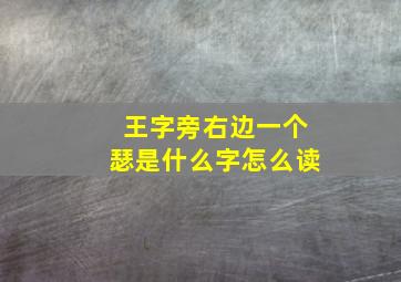 王字旁右边一个瑟是什么字怎么读