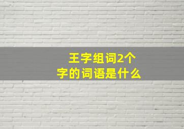 王字组词2个字的词语是什么