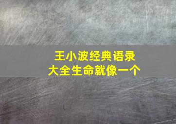 王小波经典语录大全生命就像一个