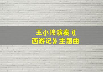 王小玮演奏《西游记》主题曲