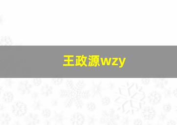 王政源wzy