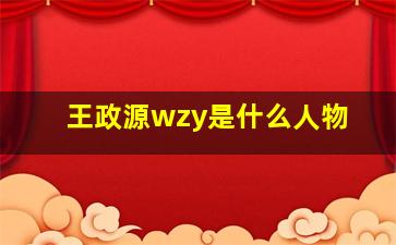 王政源wzy是什么人物