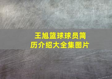 王旭篮球球员简历介绍大全集图片