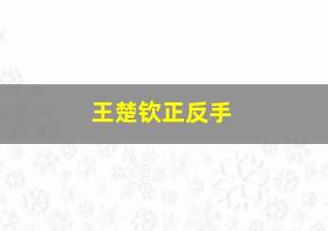 王楚钦正反手