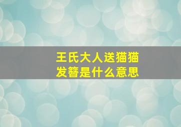 王氏大人送猫猫发簪是什么意思