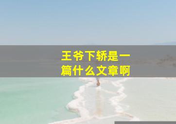 王爷下轿是一篇什么文章啊