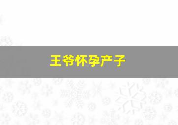 王爷怀孕产子