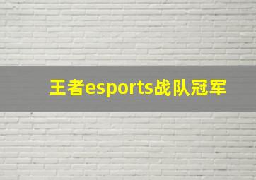 王者esports战队冠军