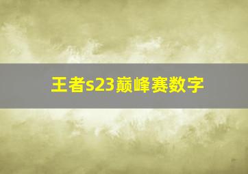 王者s23巅峰赛数字