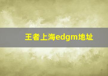 王者上海edgm地址