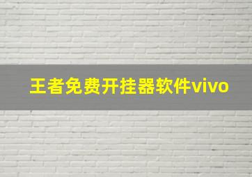 王者免费开挂器软件vivo