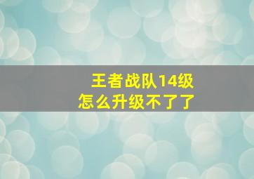 王者战队14级怎么升级不了了