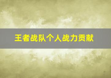 王者战队个人战力贡献