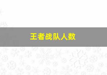 王者战队人数