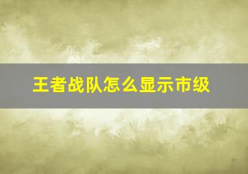 王者战队怎么显示市级